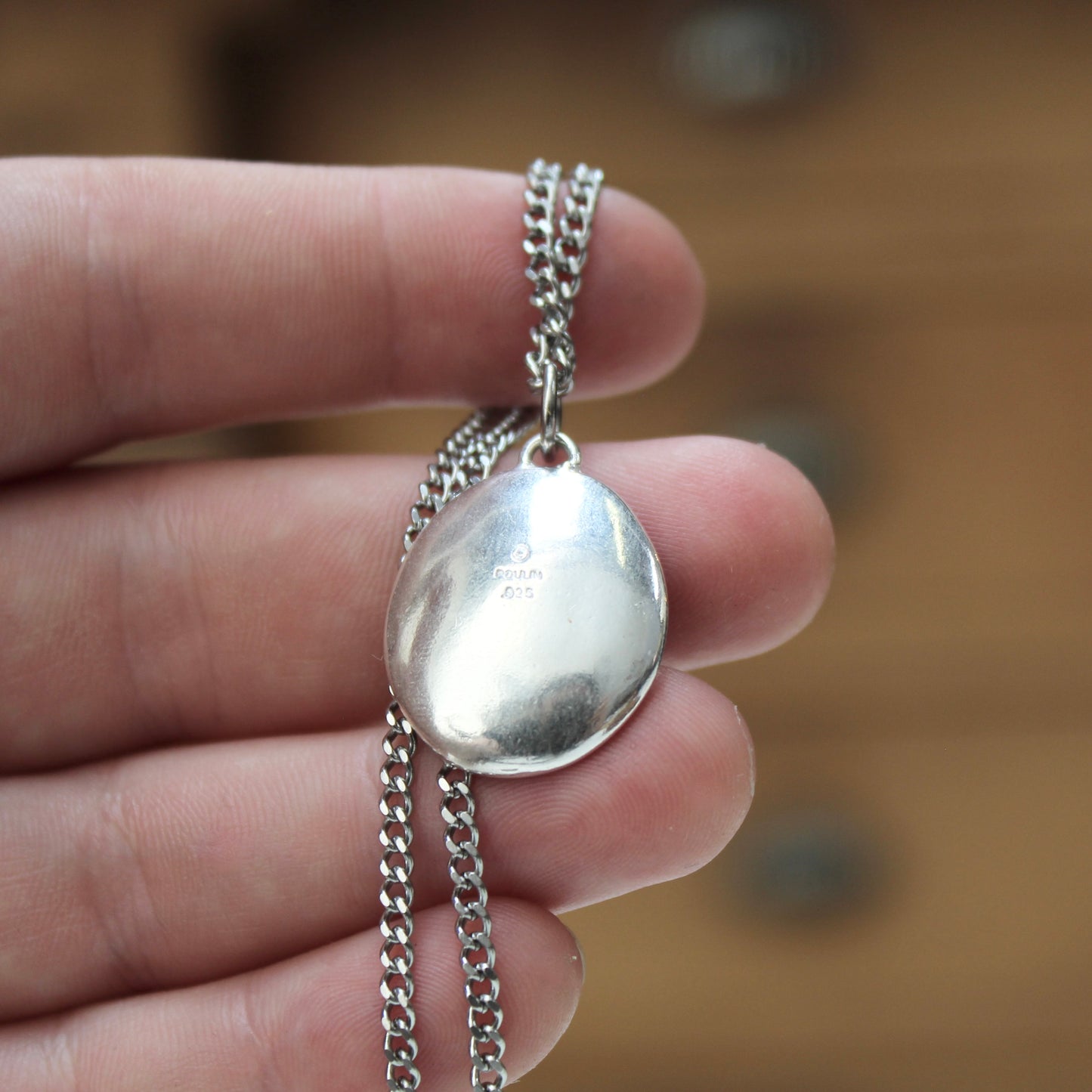 Alley Cat and Star Necklace - Sterling Silver and Enamel Pendant on 24" Stainless Steel Curb Chain - Unisex Jewelry