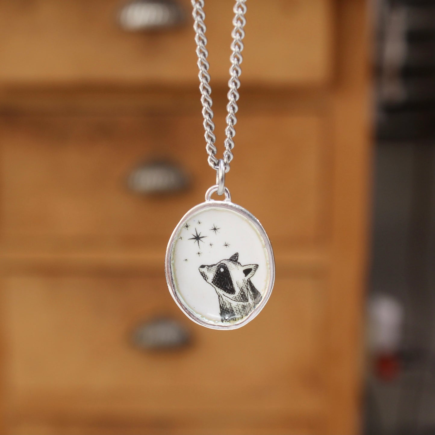 Star Gazing Raccoon Enamel and Sterling Silver Pendant on 24" Stainless Steel Chain