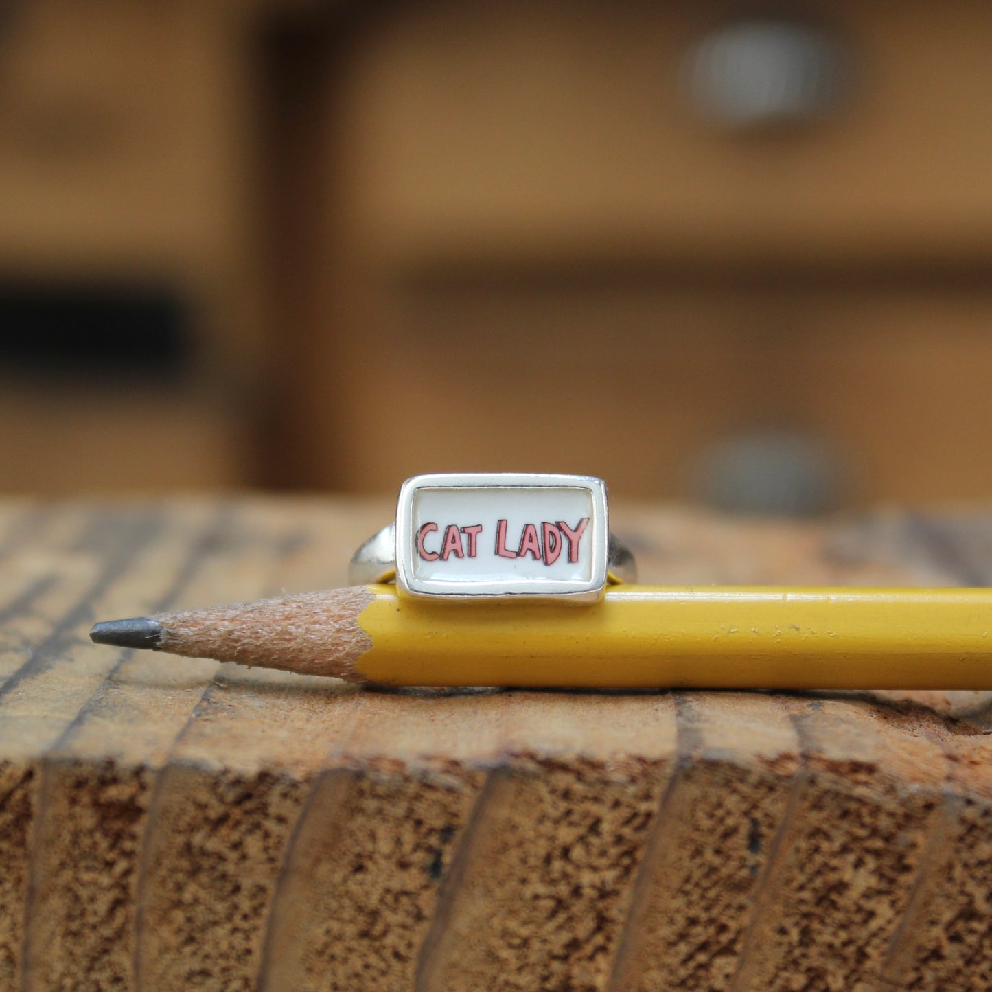 Cat Lady Ring - Blue or Pink Font Sterling Silver and Enamel Script Ring for Crazy Cat Ladies!