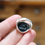 Signet Ring - Stargazing Raccoon for Men and Women - Vitreous Enamel and Sterling Silver Sizes 5 through 12 - Raccoon Gift